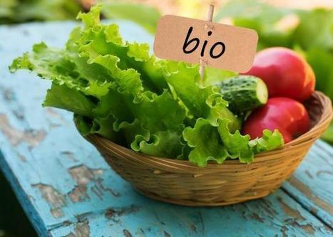 1 Français sur 2 consomme régulièrement du bio PROBLEME VISUEL - Boursorama | Bouillons et potages | Scoop.it