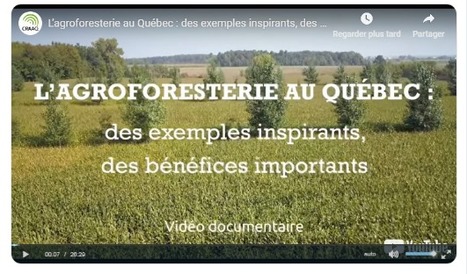 L’agroforesterie au Québec : des exemples inspirants, des bénéfices importants | GREENEYES | Scoop.it