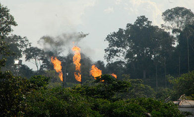 If Ecuador must drill for Yasuní oil, let's encourage the least damaging methods | RAINFOREST EXPLORER | Scoop.it