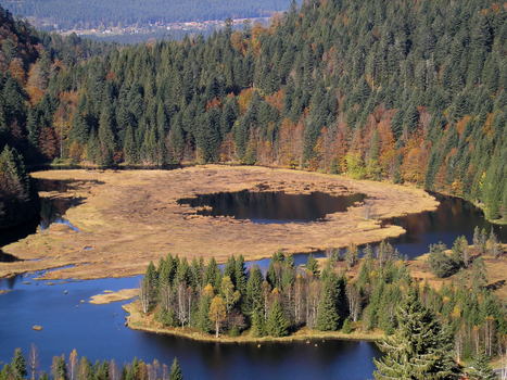 Parc Naturel Régional de Lorraine : bienvenue en terre d’évasion | veille territoriale | Scoop.it