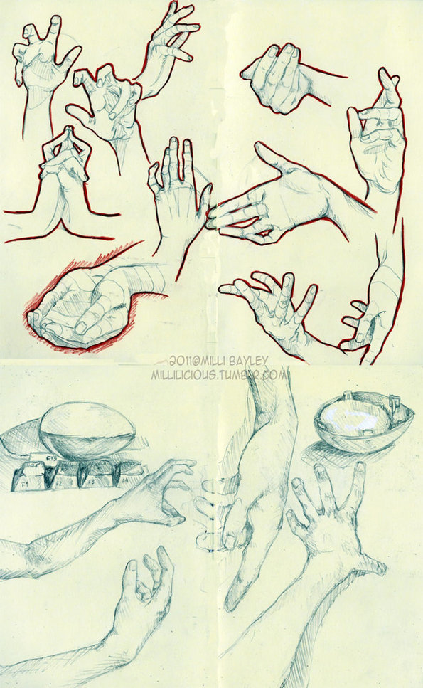 Hands study - Reference Guide  Drawing Referen