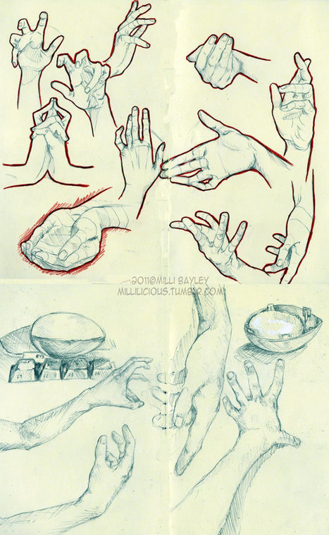 Hands study - Reference Guide | Drawing References and Resources | Scoop.it