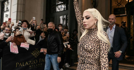 Lady Gaga gives EU a migraine (medication) &ndash; | The regulatory insider | Scoop.it