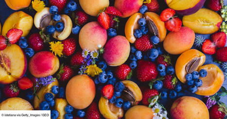Fruits et fleurs: leurs colorants naturels offrent une piste sérieuse contre la toxicité des microplastiques | FRUITS ET LÉGUMES | Scoop.it