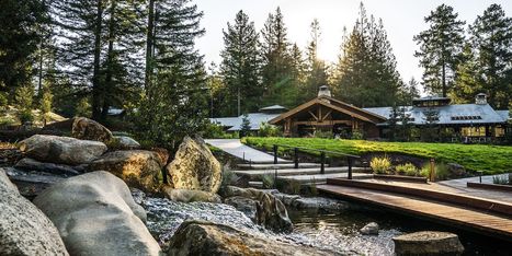 Forget the Office—Salesforce Is Making a Wellness Retreat for Workers | Leadership Development for a Changing World | Scoop.it