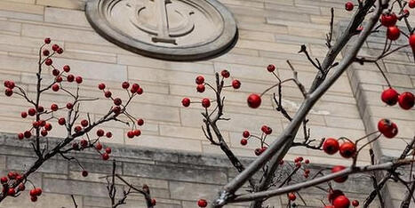 Universities And States Lead Charge On AI Education | Educational Technology News | Scoop.it