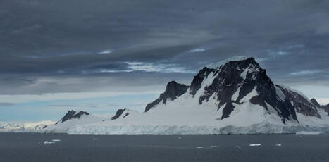 La pluie arrive en Antarctique, et ce n&rsquo;est pas une bonne&nbsp;nouvelle | Biodiversit&eacute;, &Eacute;cologie et Environnement | Scoop.it