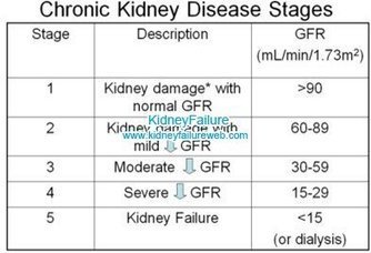 Does Beer Cause Your Creatinine to Rise | Kidne...