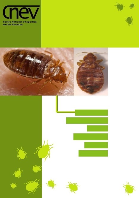 Les punaises de lit Cimex lectularius et Cimex hemipterus - Biologie, lutte et santé publique | Insect Archive | Scoop.it