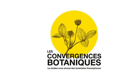 Pierre Coulot, président de la société botanique d'Occitanie et le colloque des Convergences Botaniques - France Bleu | Biodiversité | Scoop.it