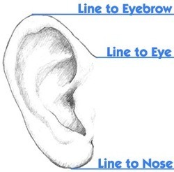 Human Ear Reference Guide | Drawing References and Resources | Scoop.it