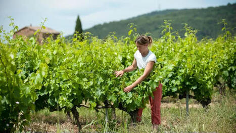 Validation des acquis de l’expérience (VAE) : au 1er septembre 2025, tous les diplômes de l’enseignement agricole seront accessibles sur la plateforme nationale | Formation professionnelle : environnement et dispositifs | Scoop.it