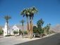 San Diego Tree Map | Plusieurs idées pour la gestion d'une ville comme Namur | Scoop.it