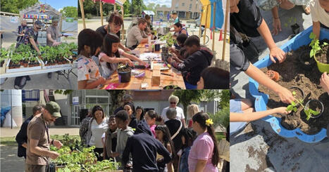 Planoise c&eacute;l&egrave;bre l&rsquo;agriculture urbaine et pr&eacute;pare sa ferme artistique &bull; | Fab-Lab | Scoop.it