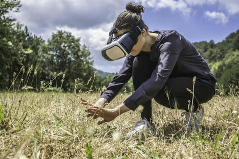 Virtual Reality boosts students' empathy for nature | 21st Century Innovative Technologies and Developments as also discoveries, curiosity ( insolite)... | Scoop.it
