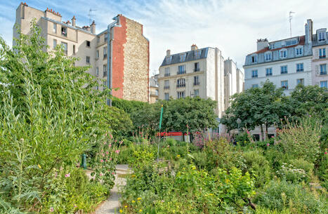 En plein essor, l’agriculture urbaine se structure en Île-de-France | ESPACES VEGETALISES URBAINS | Scoop.it