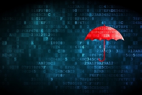 The Cyber Insurance Market in Flux | Cybersecurity Leadership | Scoop.it