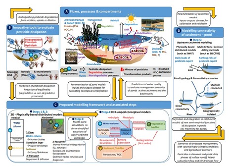 [INP-Ecolab] The Role of Ponds in Pesticide Dissipation at the Agricultural Catchment Scale | Publications scientifiques | Scoop.it
