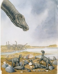 Dinosaurs grew large to outpace their young | Amazing Science | Scoop.it