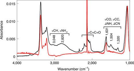 A pathway to peptides in space through the condensation of atomic carbon | Amazing Science | Scoop.it