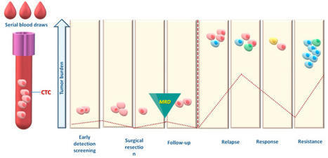 Cancers | Free Full-Text | Detection and Molecular Characterization of Circulating Tumour Cells: Challenges for the Clinical Setting | from Flow Cytometry to Cytomics | Scoop.it