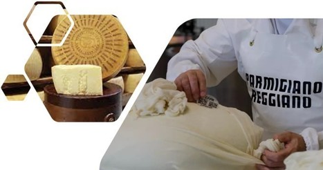 Un plaisir sans additifs : Parmigiano Reggiano DOP | Lait de Normandie... et d'ailleurs | Scoop.it