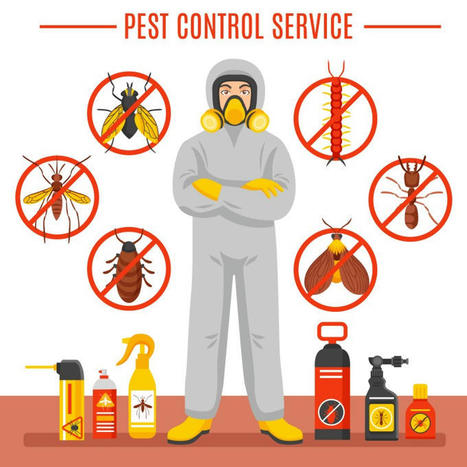 The Importance of Regular Pest Inspections in Lucknow : ext_5710059 — LiveJournal | Pest Control Services | Scoop.it