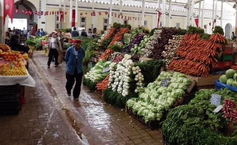 TUNISIE : Ridha Chkondali avertit contre l'escalade des prix | MED-Amin network | Scoop.it