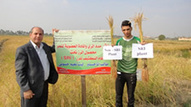 IRAQ: First Master's Thesis on System of Rice Intensification (SRI)  in Iraq Completed | SRI Global News ++ March - May 2025    System of Rice Intensification (SRI) | Scoop.it