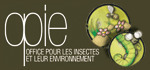 Abonnement 'Insectes' 2016 | Variétés entomologiques | Scoop.it