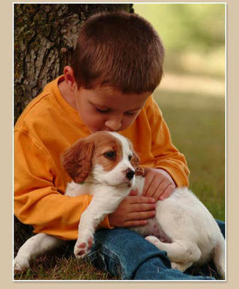 What a Little Boy and a Puppy Taught me About Content Marketing | Content Curation and Marketing | Scoop.it