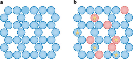 Bacterial sensors poised at criticality | Nature Physics | Papers | Scoop.it