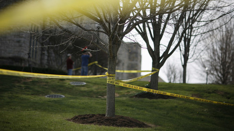 New Hampshire Man Allegedly Forced Wife to Behead Her Lover - Complex.com | Operation Oya | Scoop.it