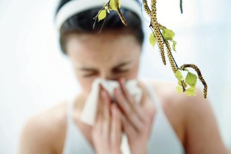 Les changements climatiques aggravent-ils les allergies ? | Toxique, soyons vigilant ! | Scoop.it