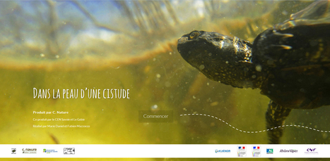 Dans la peau d'une Cistude : un webdocumentaire animalier - Web-Documentaire.org | Biodiversit&eacute; | Scoop.it