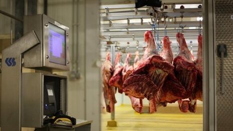 Belgique. Delhaize perd au tribunal face aux Abattoirs de Bastogne et à Belfius | La Gazette des abattoirs | Scoop.it