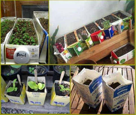 Milk Carton Repurposed as Seed Tray | 1001 Gardens ideas ! | Scoop.it