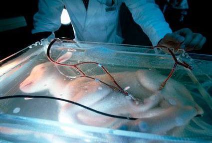 The Artificial Womb Is Born And The World of the Matrix begins | Science and Technology | Remembering tomorrow | Scoop.it