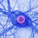 Perturbateurs endocriniens : comment nous mettent-ils en danger ? – Techniques de l’Ingénieur | Prévention du risque chimique | Scoop.it