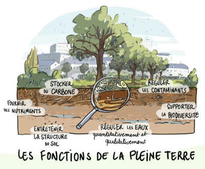 Le coefficient de pleine terre - Un outil de planification au service de la transition écologique des territoires | Actu Archi-Urba-Environnement-Paysage | Scoop.it