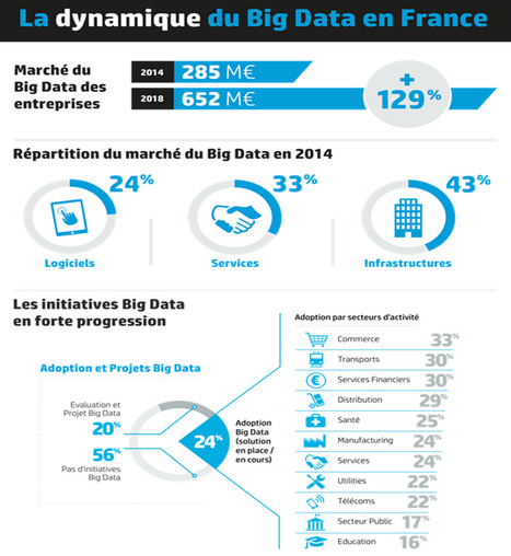 Comprendre la dynamique du Big Data en France - Infographie | Lait de Normandie... et d'ailleurs | Scoop.it