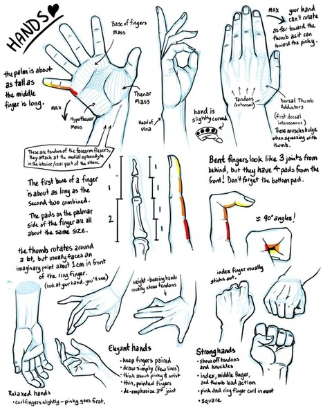 Hand Drawing Reference Guide | Drawing References and Resources | Scoop.it