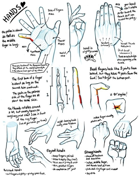 Featured image of post The Best 19 Right Hand Drawing Reference