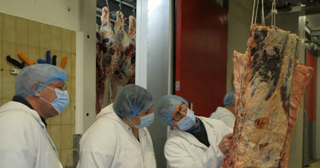 Ain. L’abattoir Gesler rénové à la suite de l’incendie veut étendre son offre | La Gazette des abattoirs | Scoop.it