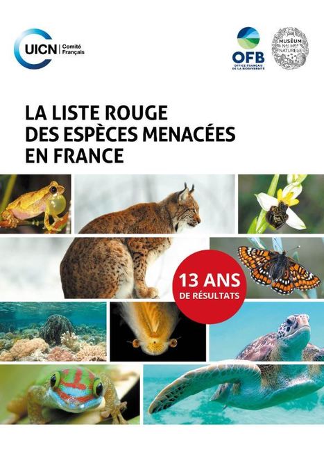 Liste rouge des espèces menacées en France : 13 ans de résultats | Insect Archive | Scoop.it