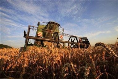 Les biocarburants plus nocifs que le diesel ? | Toxique, soyons vigilant ! | Scoop.it