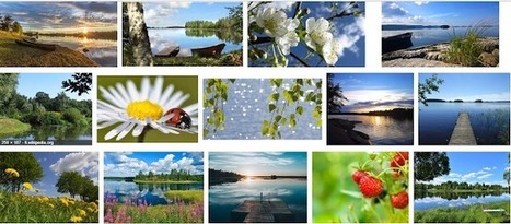 Helppoja tietokilpailukysymyksiä kesästä | Oppitori | 1Uutiset - Lukemisen tähden | Scoop.it
