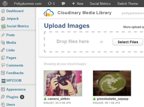 Optimize and Host WordPress Images With The Free Cloudinary CDN | WORDPRESS4You | Scoop.it