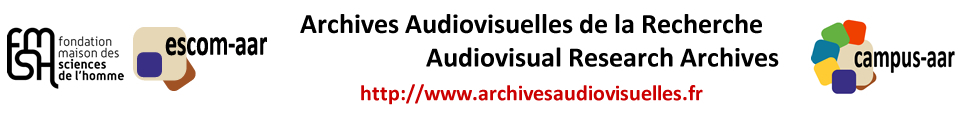 Rethinking Audiovisual  Archives
