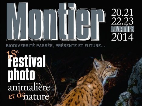 Festival photo de Montier-en-Der : Biodiversité passée, présente et future... | Variétés entomologiques | Scoop.it